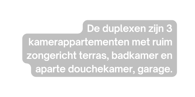 De duplexen zijn 3 kamerappartementen met ruim zongericht terras badkamer en aparte douchekamer garage